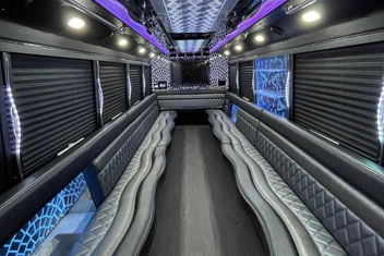Chandler Party Bus Interior