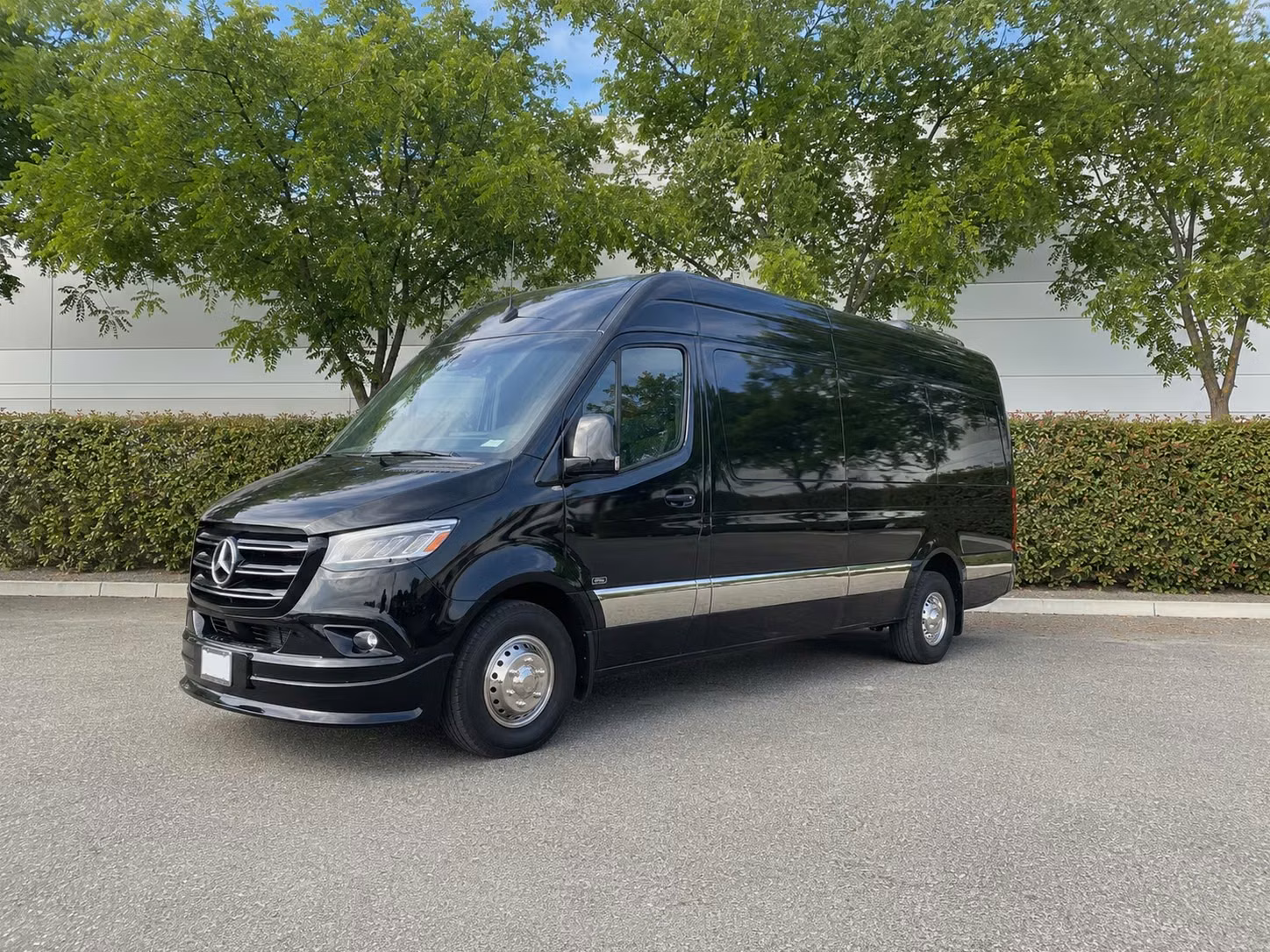 sprinter van with driver